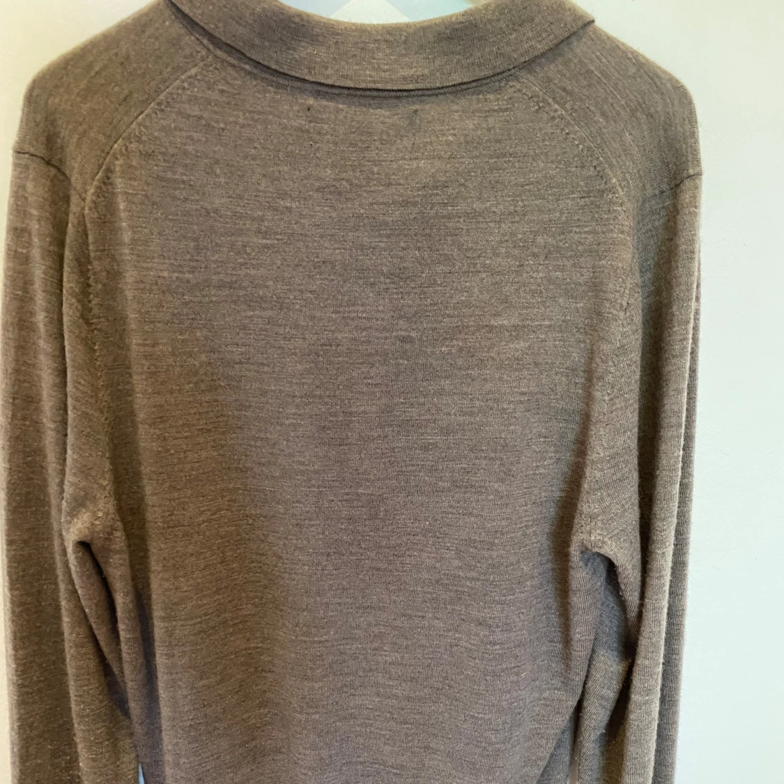 Långärmad pike - 1