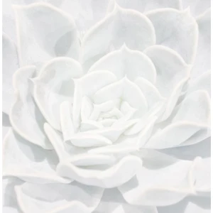 Arkivfoto  - Går ej att köpa 