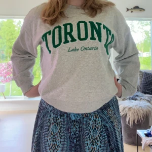 Grå college-tröja  - Grå sweatshirt med grönt, upphöjt TORONTO-tryck och texten Lake Ontario under. Tröjan har jag använt väl men inga stora defekter. Den är lite större i storleken. Skriv vid frågor💕💕💕