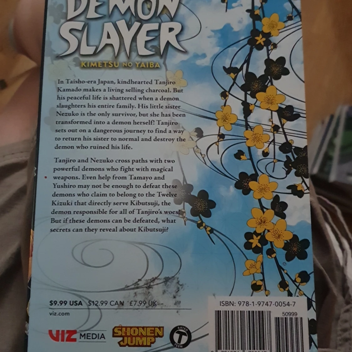 Vol 3 of demon slayer - 1