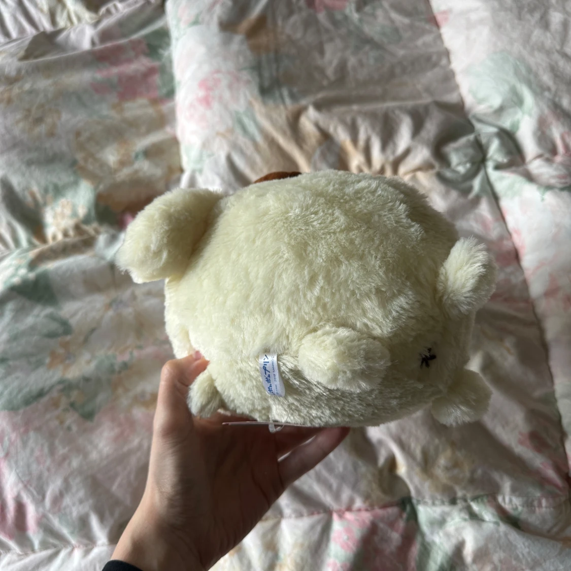 pompompurin plushie - 2