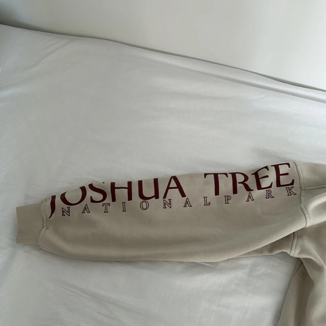 Beige Joshua Tree sweatshirt från Valient - 2