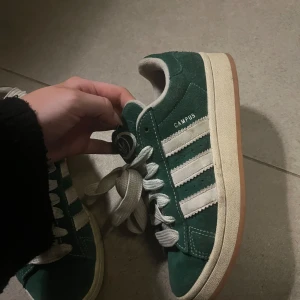 Gröna Adidas Campus sneakers - Snygga gröna Adidas Campus sneakers med vita ränder och snörning. Det finns gröna snören som kommer med💞stora i storleken