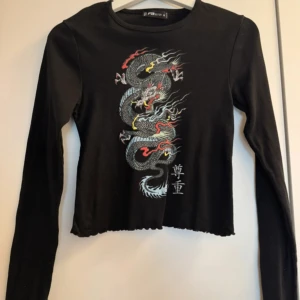 Långärmad tröja med draktryck  - Fint skick, använd 1-2 gånger