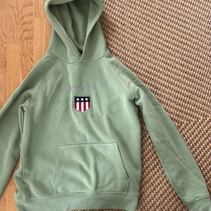 Grön hoodie från Gant med logga - Snygg ljusgrön hoodie från Gant med broderad logga och amerikanskt sköldmärke på bröstet. Tröjan har huva, magficka och långa ärmar. Perfekt för en chill och sportig stil.