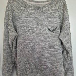 Gråmelerad tröja Iconic Sport M - Gråmelerad långärmad tröja från Iconic Sport i storlek medium. Tröjan har ett diskret svart fågeltryck på bröstet och är tillverkad i mjukt material med avslappnad passform. Perfekt för chill dagar eller när du vill ha en enkel stil.