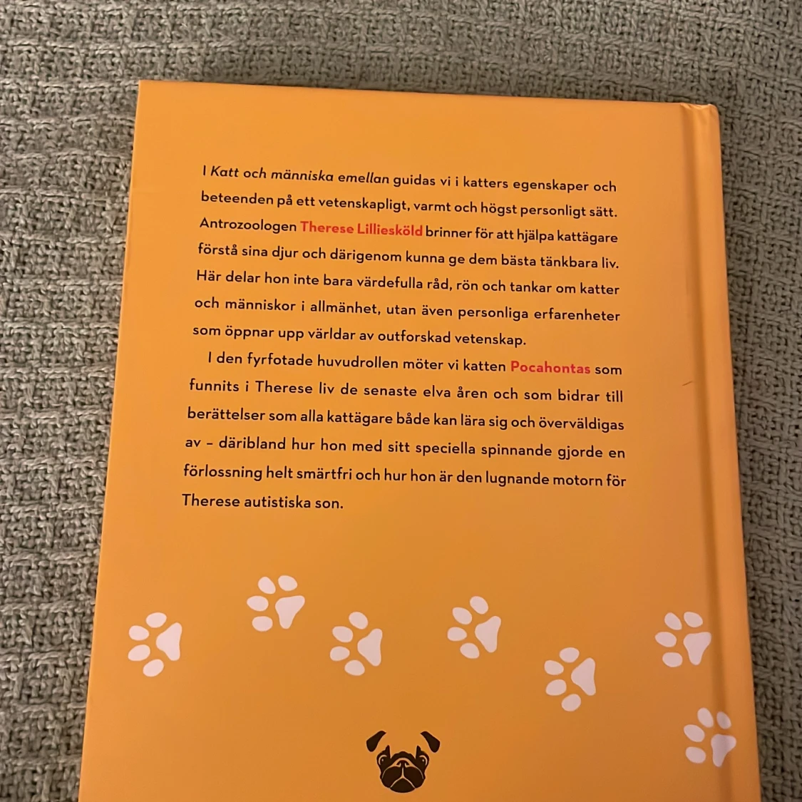 Katt och människa emellan - 1