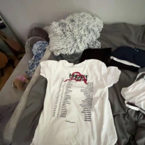 INTRESSEKOLL på min hov1 tröja från tour 2023  - Hov1 merch från deras konsert 2023. Knappats använd, Kollar om några skulle vilja ha den och vad folk är villiga att betala.  Från 500kr högsta bud får den