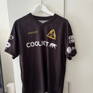 GODSENT  Jersey  - Svart Godsent e-sport Jersey med tryck av logotyper och varumärken. Matchtröjan har en V-ringning och korta ärmar. På baksidan finns även Godsent tryckt. Köpt från deras hemsida. Storlek xl, sitter som L.