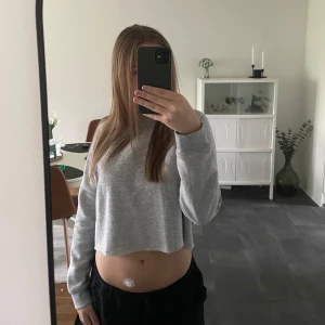 Ljusgrå kroppad sweatshirt - Ljusgrå kroppad sweatshirt i bra skick. 💕