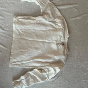 Vit långärmad tröja från Tiger of Sweden - Säljer en stilren vit långärmad tröja från Tiger of Sweden med tryck i blått framtill. Perfekt för en avslappnad look. Tröjan har ribbade muddar vid ärmslut och en rund halsringning.