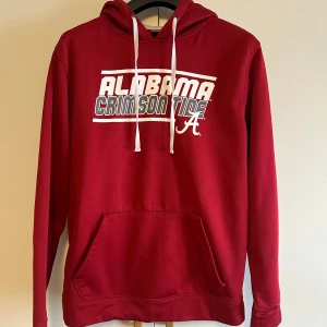 College Hoodie - College Hoodie i bra skick. Modell på bilden är 186cm