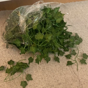 Fina plastblad som prydnad - Har haft i cirka 1 år och har inte fått ngn användning för dem, säljer för 5 kr styck är jätte fina som prydnad och t.ex. sätta upp i tacket eller runt ett skåp eller något. De är cirka 2 m långa men kan klippas av❤️