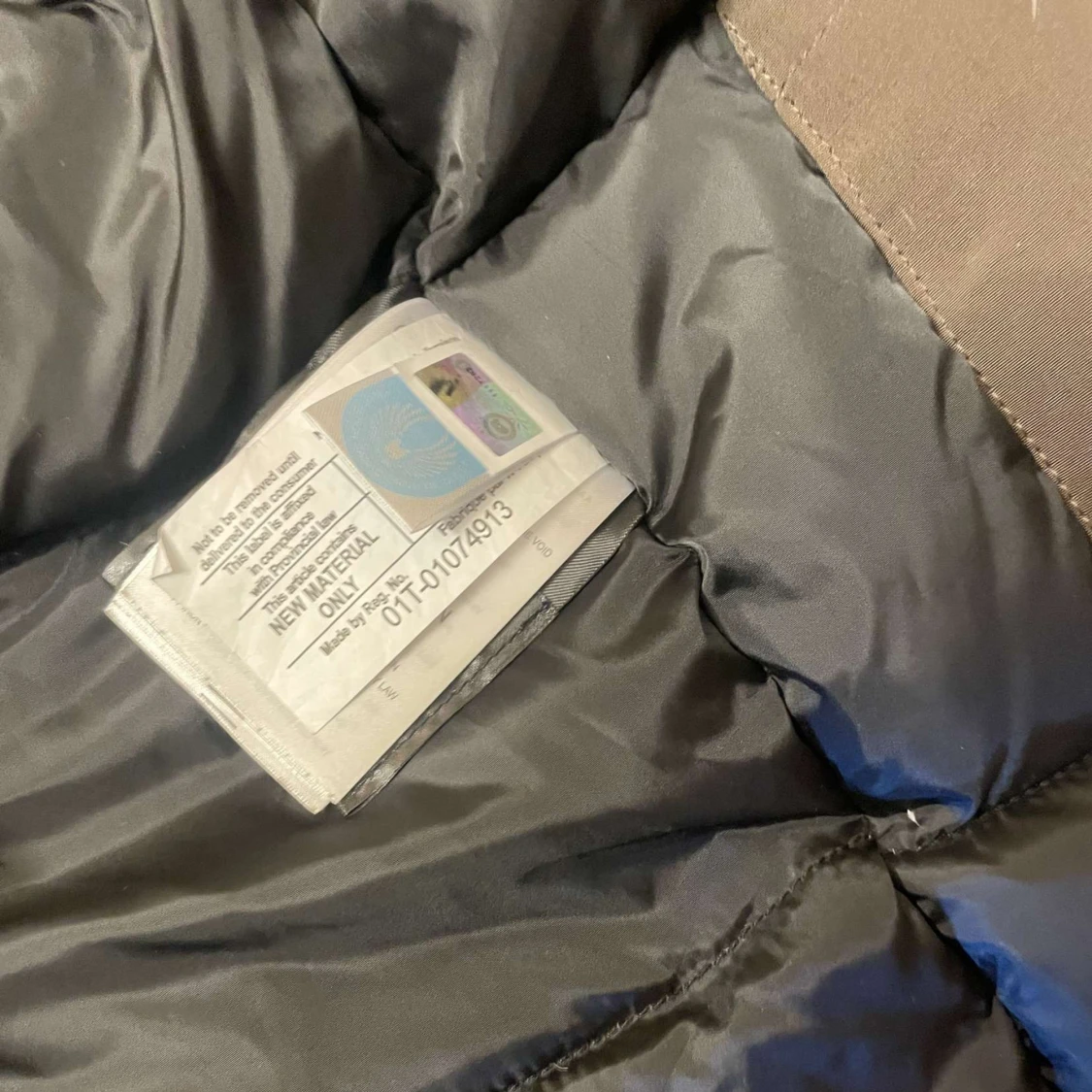 Canada goose - 91