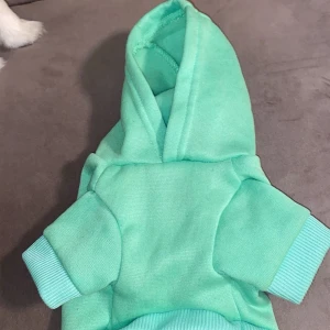 Mintgrön hoodie från Petsin - Säljer en söt mintgrön hoodie från Petsin. Perfekt för att hålla din fyrbenta vän varm och stilren. Hoodien har en klassisk design med huva och ribbade muddar vid ärmslut och nederkant. kommer inte till använd eftersom den har  blivit liten för honom. Använd 1 gång. Storlek S💕