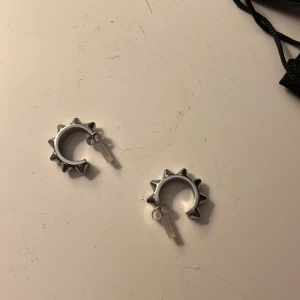 Edblad örhängen  - Fina Edblad örhängena, helt äkta och köpta för typ 2 år sen 