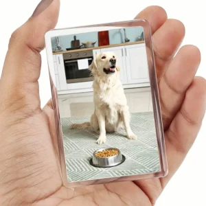 5 Personliga kylskåpsmagneter  - 5st magnetiska fotoramar i plast som är perfekta att sätta upp på kylskåpet med dina favorit-minnen eller ge bort som present. Ramen är transparent och har en stilren design som låter dina bilder stå i fokus. 🖤Frakt ingår, brev och frimärke. 