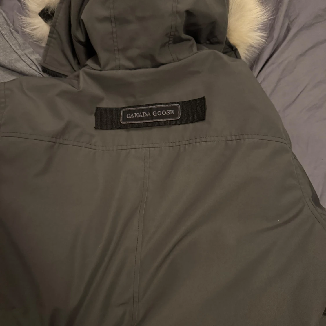 Canada goose Chateau - 93