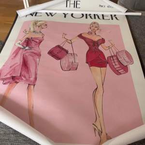 Säljer en snygg poster från The New Yorker med illustration av två modemedvetna kvinnor i rosa och röda klänningar. Perfekt för att ge ditt rum en chic och stilren känsla. Postern är i bra skick och rullad för enkel transport. 50x70cm