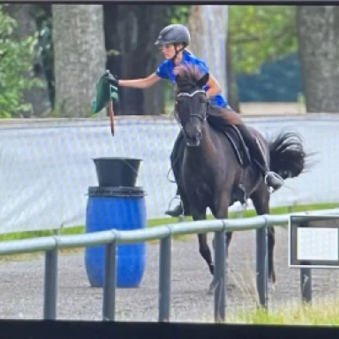 Pannband till häst - 91