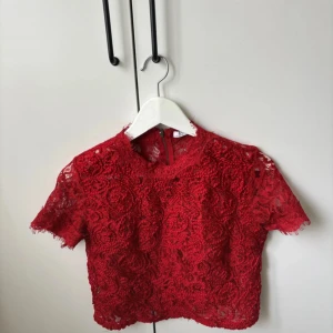 Röd spetsblus - Säljer en superfin röd spetsblus med korta ärmar. Den är croppad och perfekt för festliga tillfällen. Blusen har ett vackert blommigt mönster och är i nyskick. Passar perfekt till både jeans och kjol!