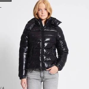 Puffer jacka  - Säljer denna populära lager 157 jackan. Helt ny med lappar kvar. Även helt slutsåld överallt!