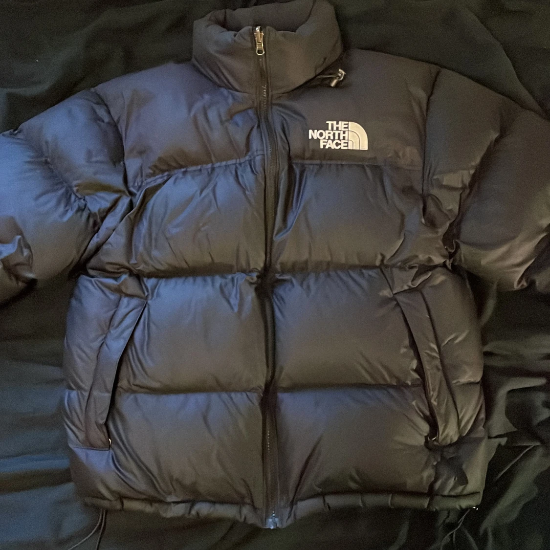 Puffer jacka från The North Face