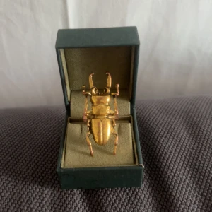 Guld skalbagge ring  - As cool ring, köpt från ett miniföretar, inte äkta guld och den har börjat tappa färg på själva ringer inte skalbaggen 