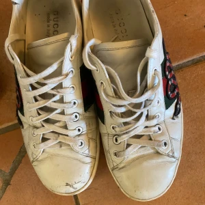 Gucci  - Tja bilder på riktigt feta Gucci ace i skick 7,5/10 pga lite defekter på framsidan annat helt perfekt skriv i dm vid frågor jag letar helst efter byten 