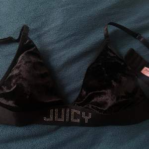 En helt oanvänd och ny juicy couture bh, sjukt snygg i sammet, storlek L men upplevs lite mindre.