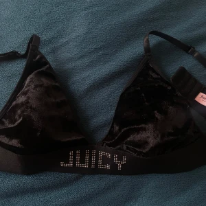 Juicy couture bh - En helt oanvänd och ny juicy couture bh, sjukt snygg i sammet, storlek L men upplevs lite mindre.