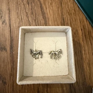 Örhängen  - Äkta silver. Några år gamla men knappt använda 