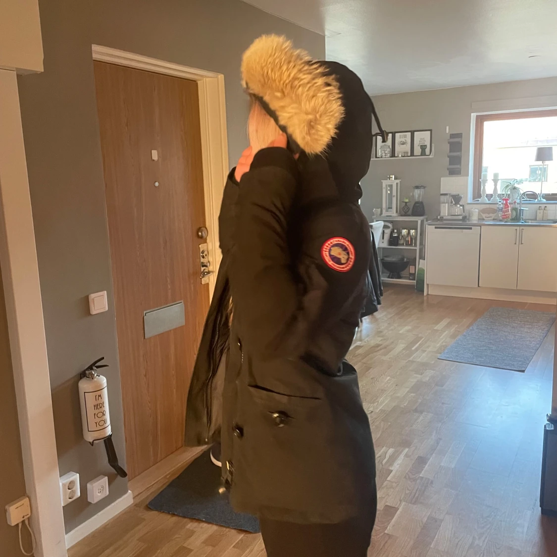 Svart canada goose - 90