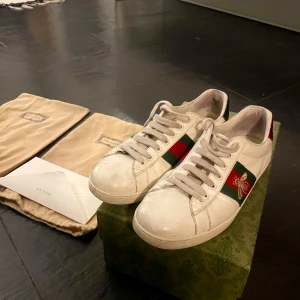Gucci ace  - Säljer dessa Gucci skor då det är för små, det är i ett väldigt bra skick. Box kvitto samt dustbags medföljer vid köp, hör av er vid frågor
