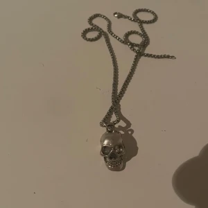 Silverfärgat halsband med dödskallehänge - Coolt halsband i silverfärg med ett detaljerat dödskallehänge. 