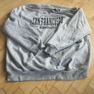 Grå sweatshirt perfekt till hösten  - Perfekt till hösten!🍂🍁 snygg grå sweatshirt. Pris går att diskutera 