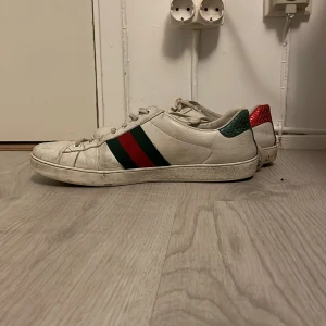 Gucci ace - Tja säljer dessa gucci ace skor skick 7-6/10 ganska creasade och smutsiga men kan lätt fixa storlek 44   | har låda!