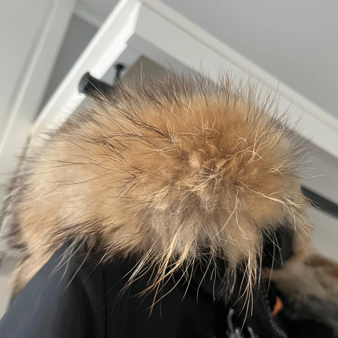 Parajumper jacka dam - 91