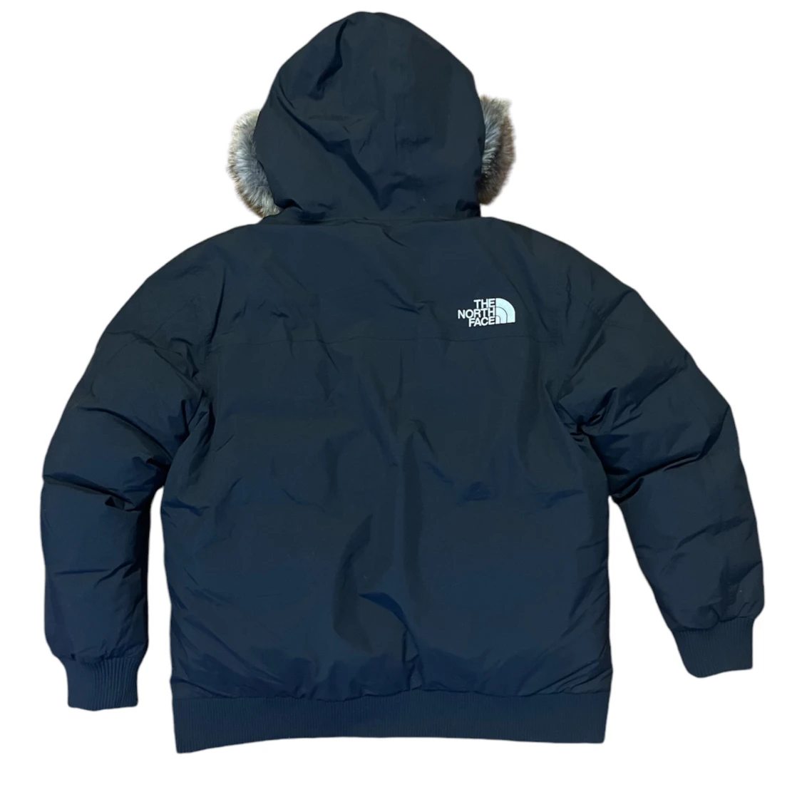 Northface Parka - 91