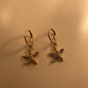 Örhängen - Supefina örhängen som inte kommer till användning längre💕