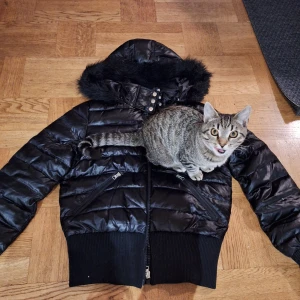 Svart pufferjacka från Zoul - Säljer en snygg svart pufferjacka från Zoul i storlek 40. Jackan har en huva med fuskpäls och stängs med dragkedja och knappar. Den har även ett brett waistband. Jag skulle säga att jackan är i storlek M. Skriv vid frågor💕