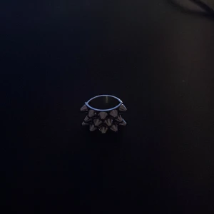 Silvrig ring från Edblad - Skriv vid frågor eller om ni vill ha fler bilder!! Har inte kvitto eller box men den är äkta!