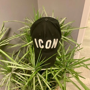 DSQUARED2 keps  - ICON