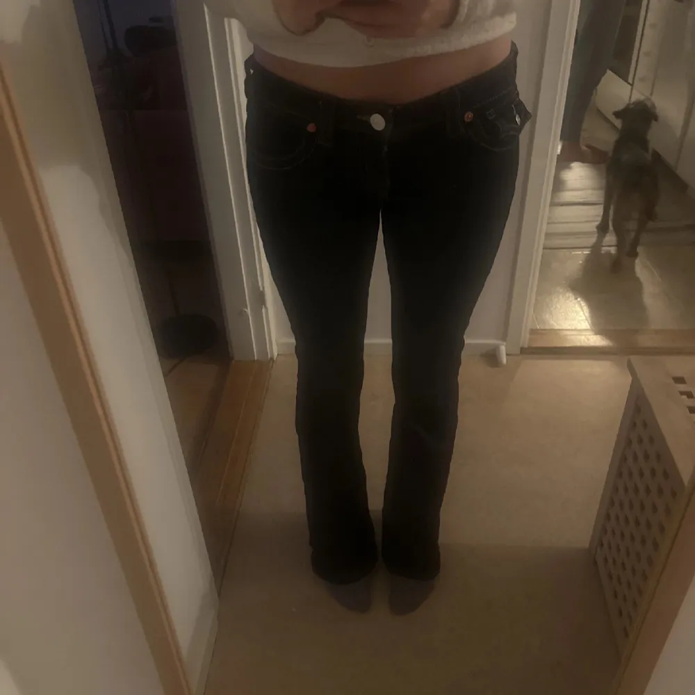 Säljer mina superfina true religion jeans då det inte kommer till användning! Används ca 5 gånger Sitter bra i längd på mig som är 173!💗  Ny pris 1 299kr  Kp för mer bilder 💗. Jeans & Byxor.