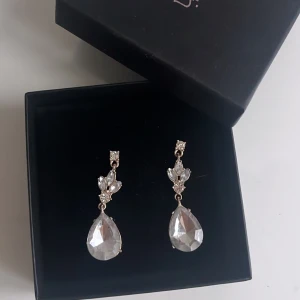 Örhängen - Jätte vackra örhängen