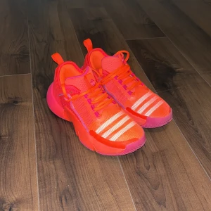 basket skor - oranga basket skor pris kan diskuteras 