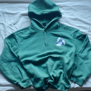 Grön hoodie - En grön hoodie från H&M, har används flitigt men har inga defekter. Pris diskuteras gärna!