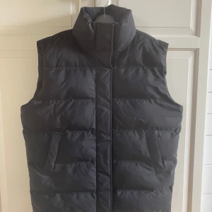 Svart väst från Weekday - Snygg svart väst med hög krage och tryckknappar från Weekday. Västen har en stilren design med praktiska fickor framtill. Storleken är M, men den är gigantisk storlek! Tycker att den passar som L/XL. Passar både tjej och kille. 100% polyester. Mycket fint skick.