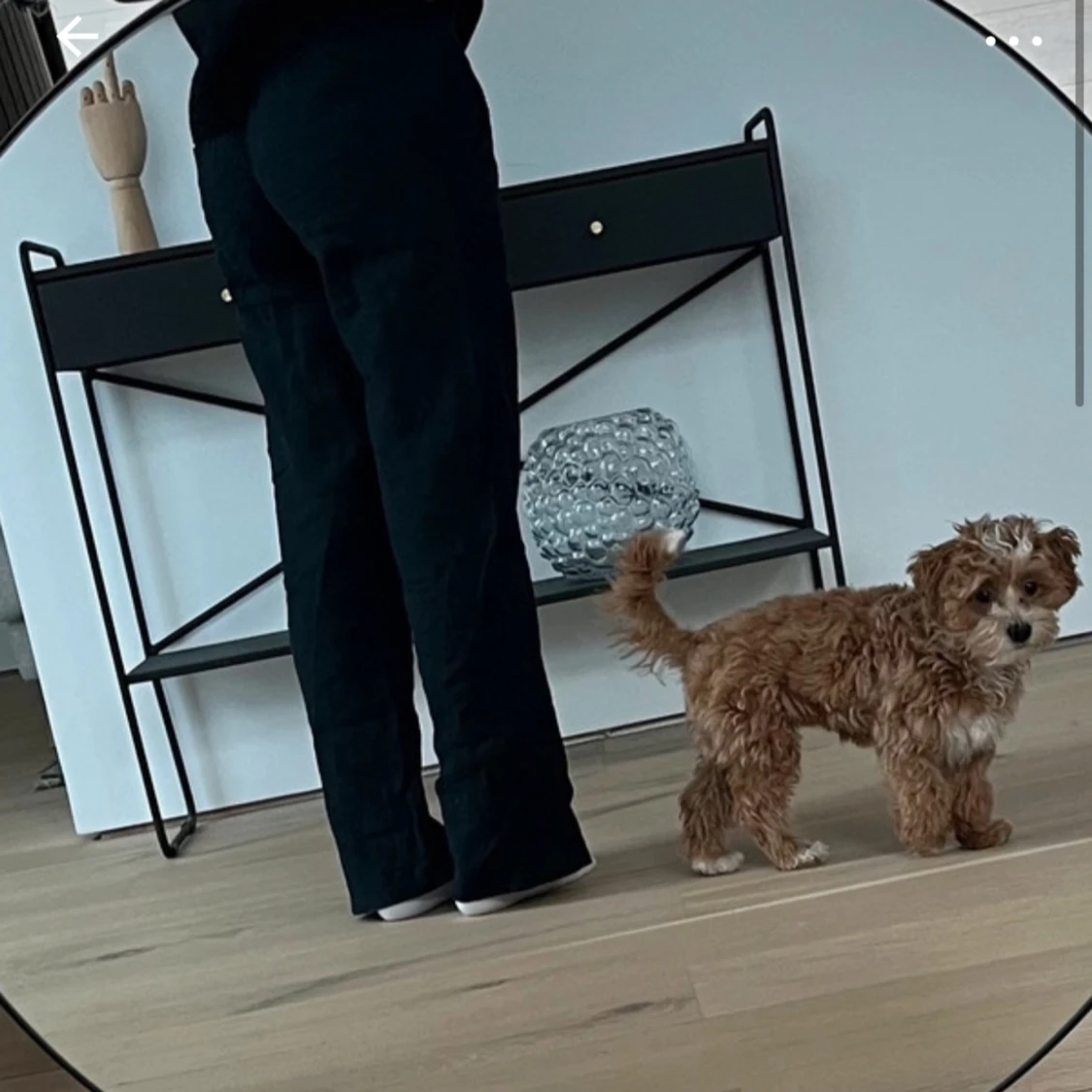 Svarta Roxy linnebyxor - 1