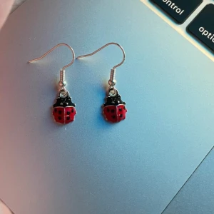 Nyckelpigeformade örhängen - Charmiga örhängen i form av nyckelpigor. De har en röd och svart färgkombination och är perfekta för att lägga till en lekfull touch till din stil. Passar både till vardag och speciella tillfällen.